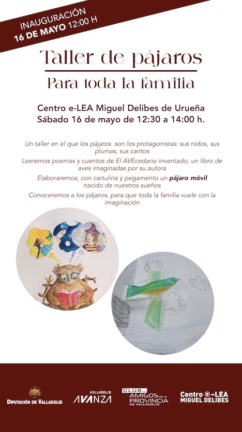 Taller de pájaros